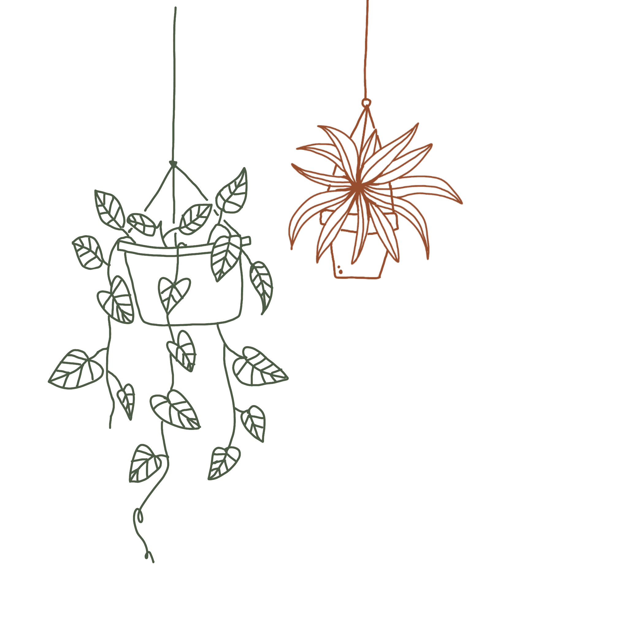 floral 2